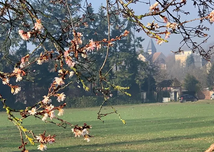 Le Du Botaniste * 吉维尼